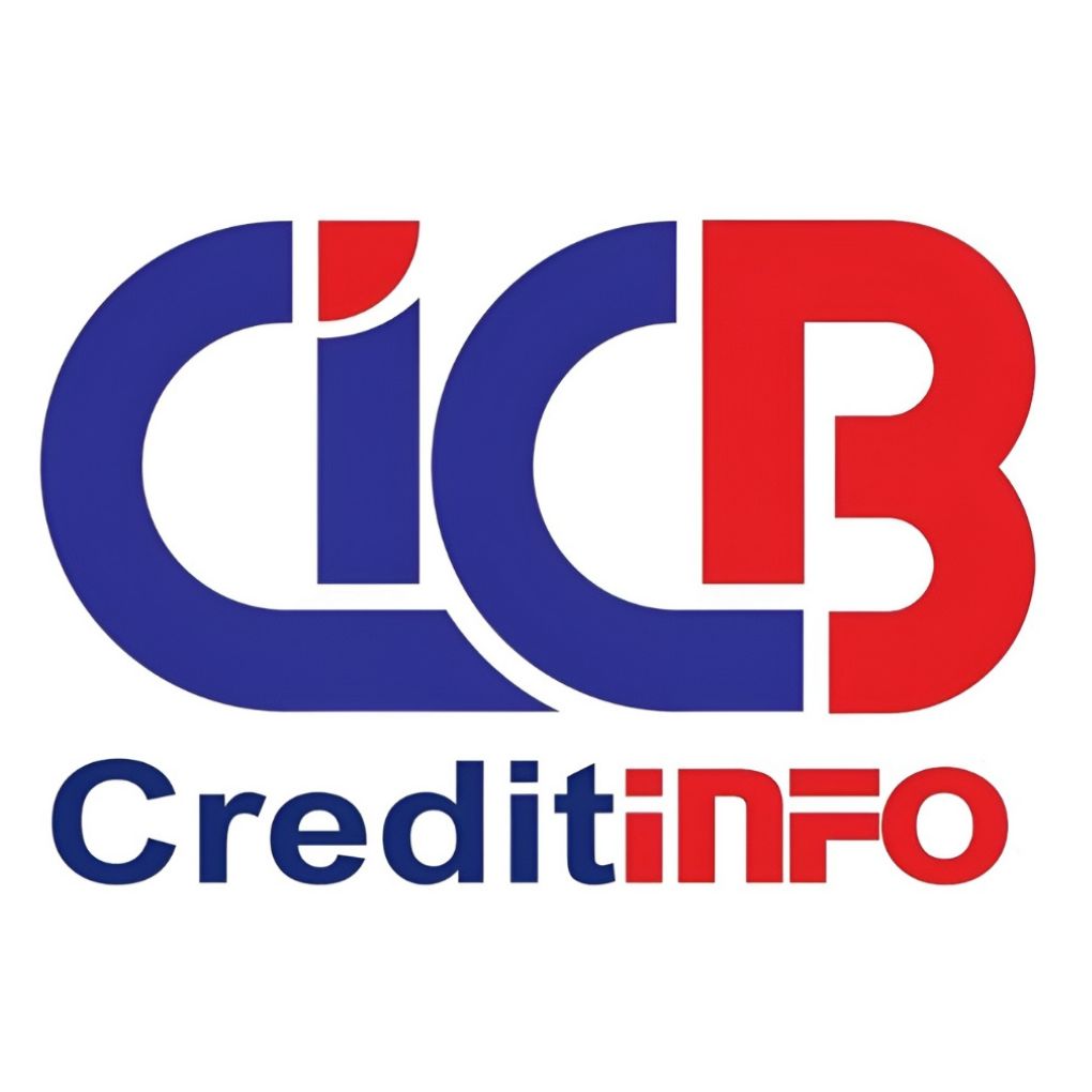 Lịch Sử Tín Dụng Cic Là Gì ?